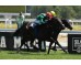  Carrera: P.Jose Antonio Rodriguez JAR Monta: R.N.Valle Caballo: Bruno